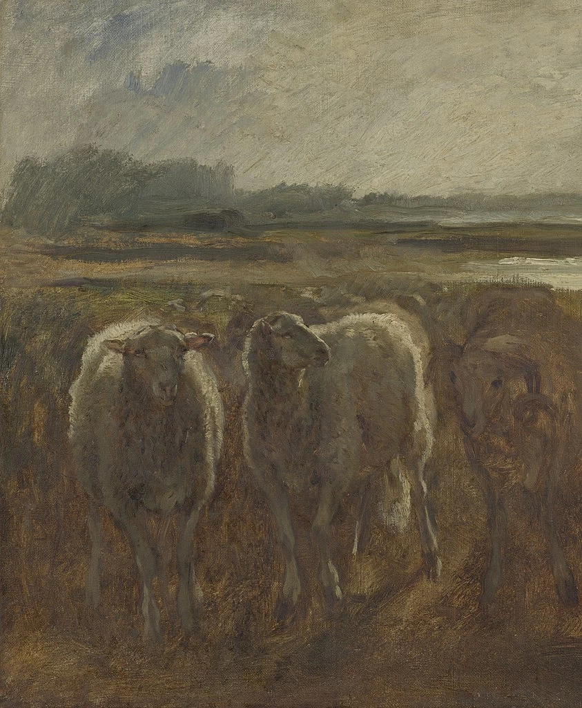 Pecore - The Mesdag Collection, l'Aia